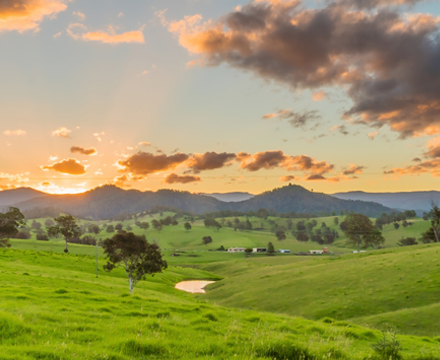 TBH delivers largest piece of pro bono work to the fire-ravaged town of Cobargo